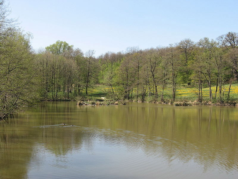 Datei:13 Grünauer Teich.jpg