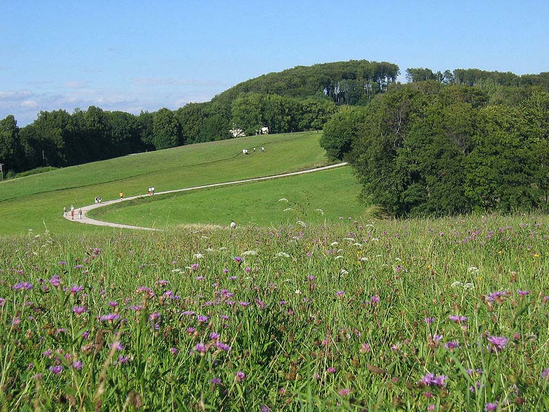 Datei:14 Sophienalpe.jpg