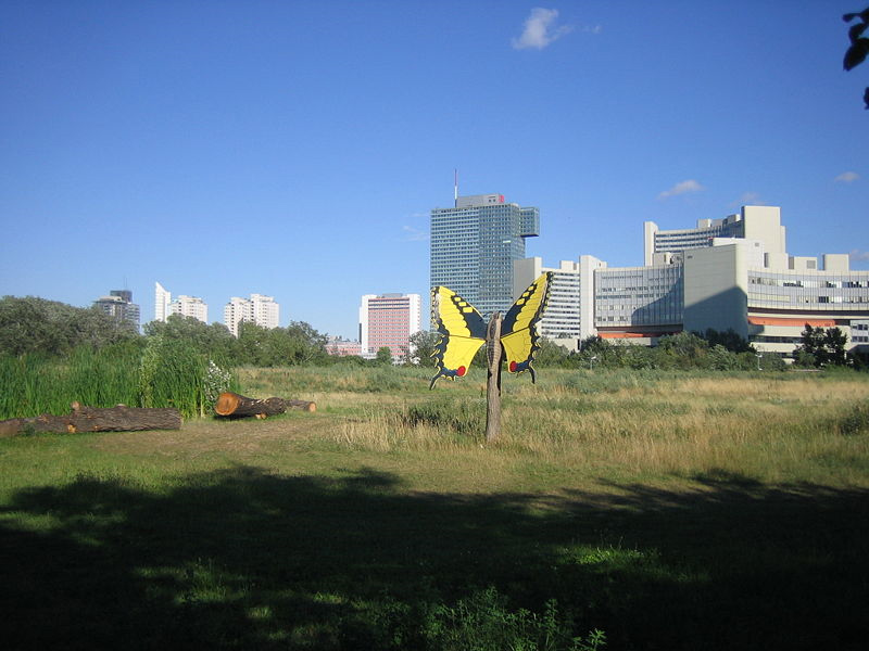Datei:22 Donaupark Schmetterlingswiese.jpg