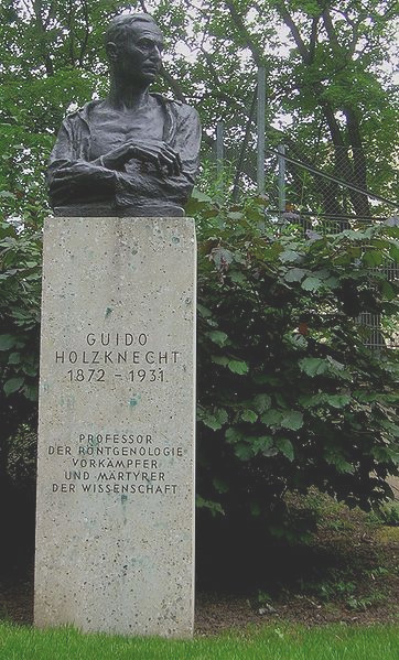 Datei:9 Guido Holzknecht.jpg