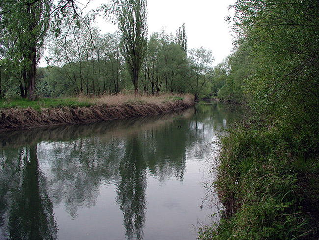 Datei:Alter Rhein Höchst.jpg
