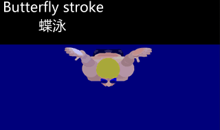 Datei:Delfinschwimmstil von vorne.gif