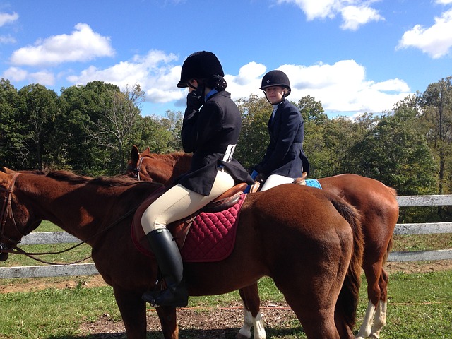 Datei:Englischer Reitstil.jpg