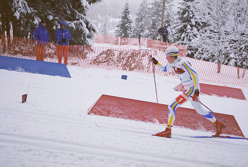 Datei:Langlauf Wettbewerb.jpg