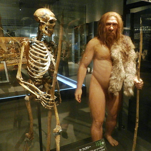 Datei:Neandertaler2.jpg