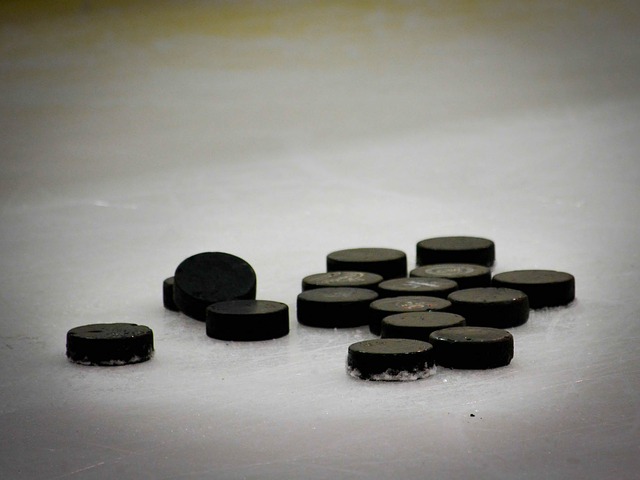 Datei:Pucks.jpg