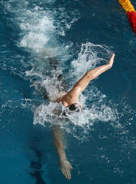 Datei:Schwimmer beim Kraulen.jpg