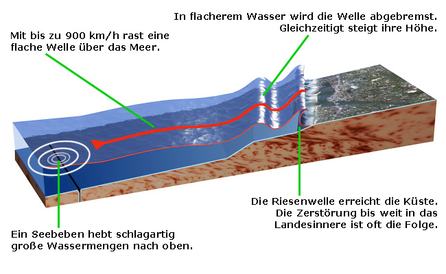 Datei:Tsunami Grafik.jpg