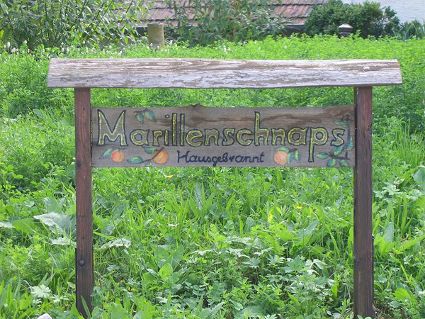 Datei:Wachau Marillenschnaps.jpg