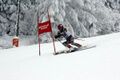 ÖSTM Ski Alpin Gehörlosen 2009.jpg