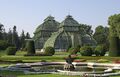 13 Palmenhaus Schönbrunn.jpg