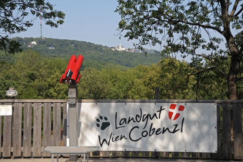 Datei:19 Landgut Cobenzl.jpg