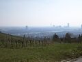 19 Nussdorfer Weinberge.jpg