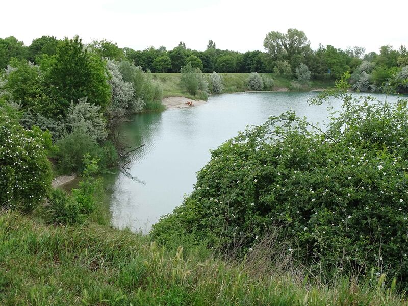 Datei:22 Badeteich Süßenbrunn.JPG