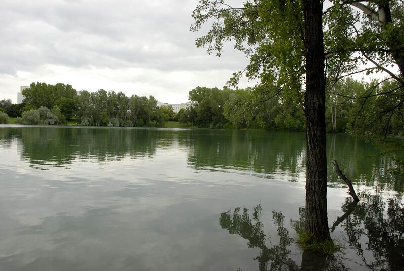 Datei:22 Hirschstettner Teich.jpg