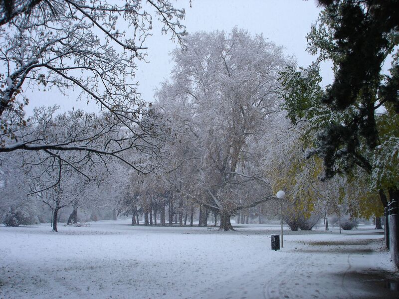 Datei:3 Stadtpark Winter.jpg