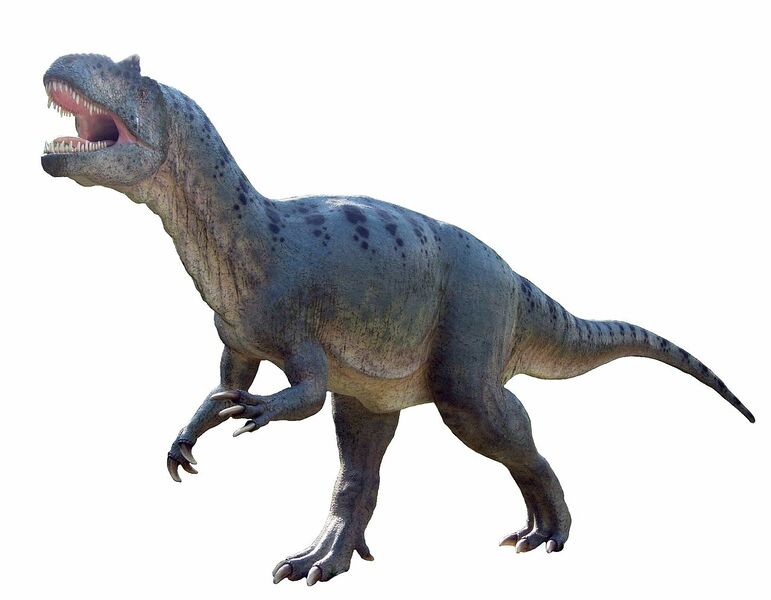 Datei:Allosaurus.jpg