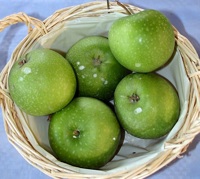 Datei:Apfelsorte Granny Smith.jpg