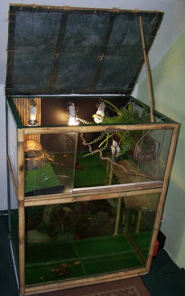 Datei:Aquaterrarium.jpg