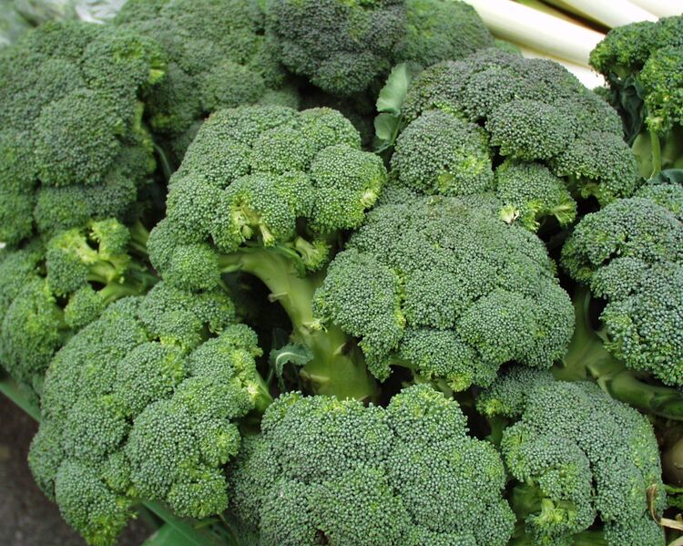 Datei:Broccoli.jpg