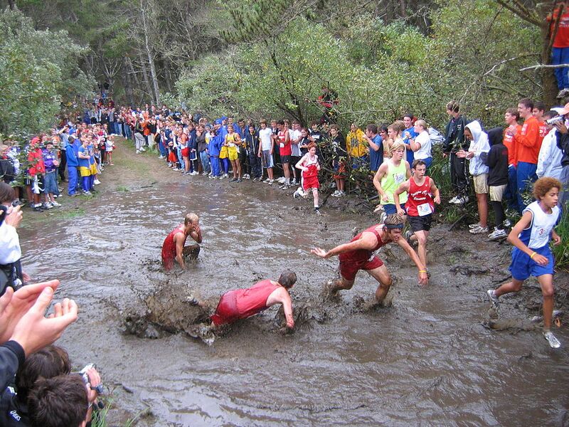 Datei:Crosslauf durch Wasser.jpg