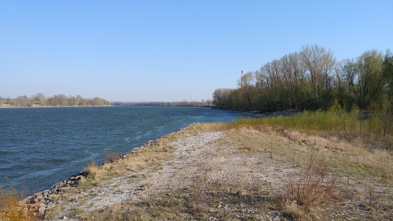 Datei:Donau bei Zwentendorf.jpeg