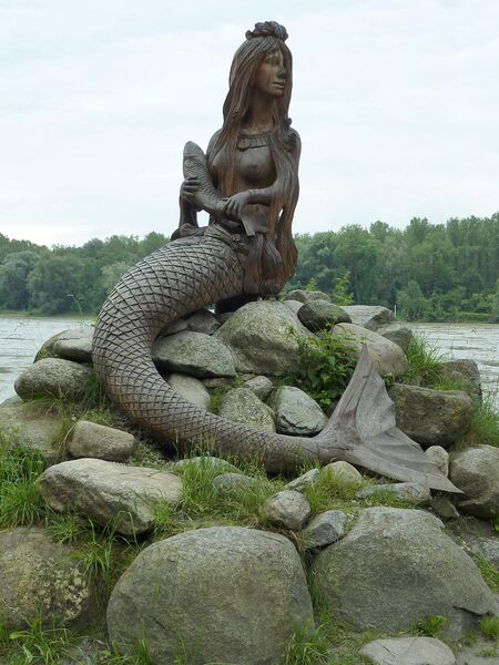 Datei:Donauweibchen Nixe.jpg