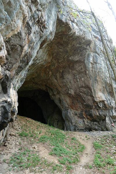 Datei:Drachenhöhle Mixnitz.jpg