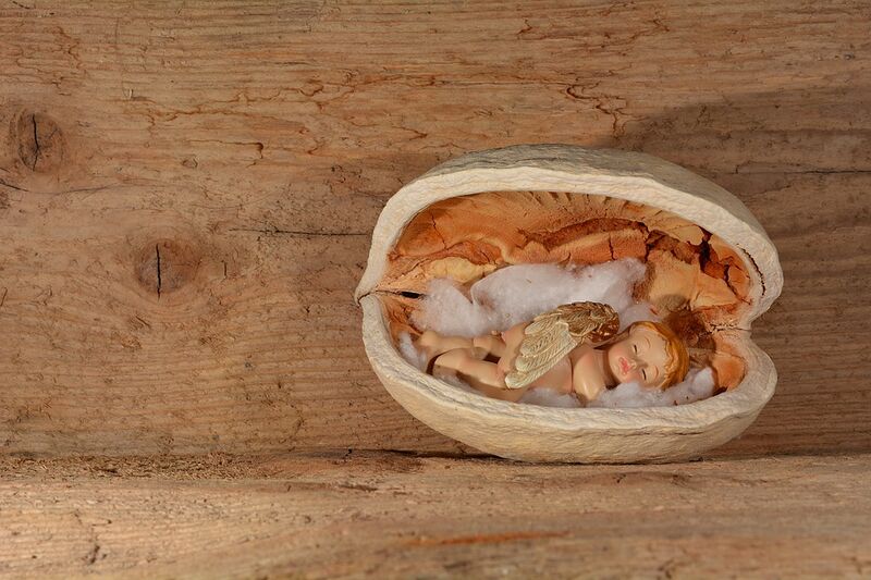 Datei:Engel in Walnuss.jpg