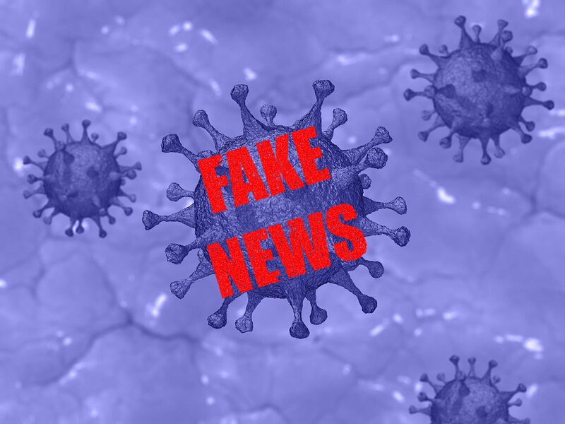 Datei:Fake News Corona.jpg