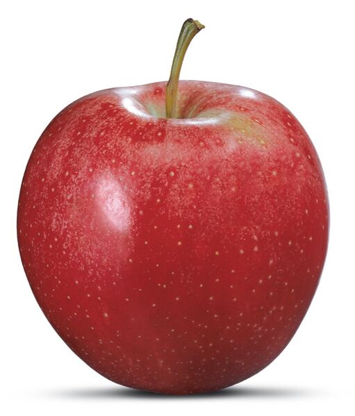 Datei:Guter Apfel.jpg