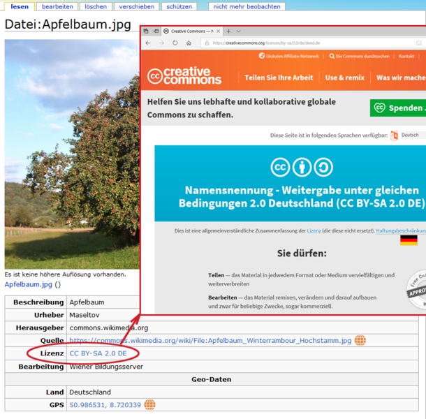 Datei:Lizenz Lizenztext.png