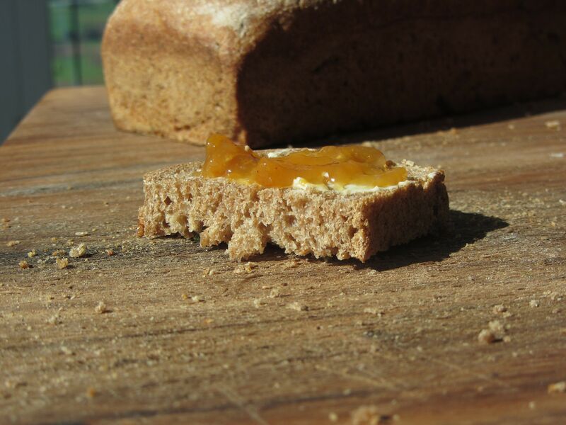 Datei:Marmeladebrot.jpg