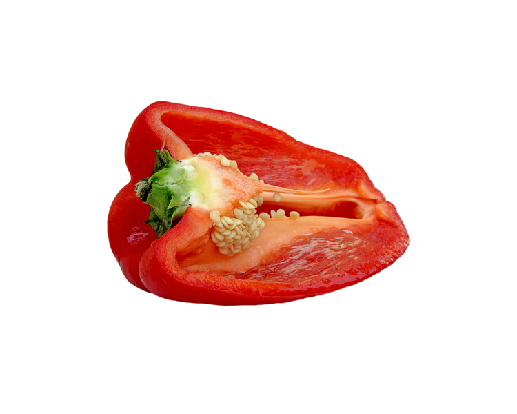 Datei:Paprika Querschnitt.jpg