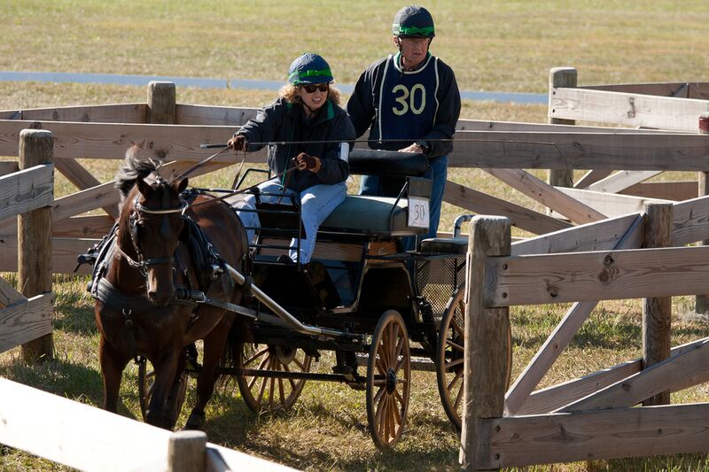 Datei:Pferdefahrsport Tor.jpg