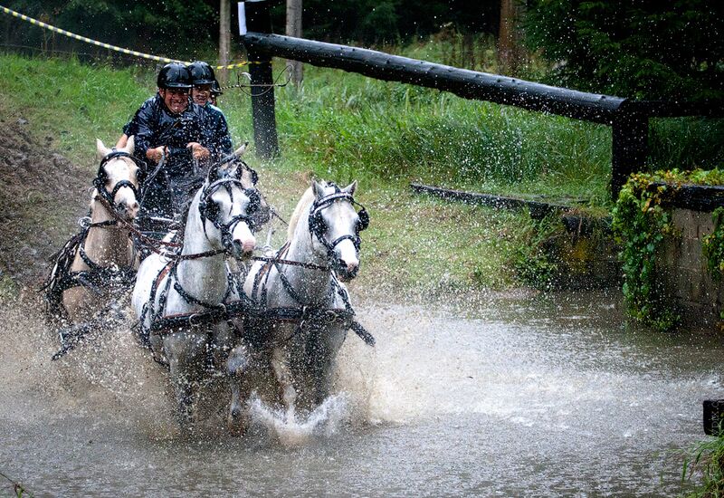 Datei:Pferdefahrsport Wasser.jpg