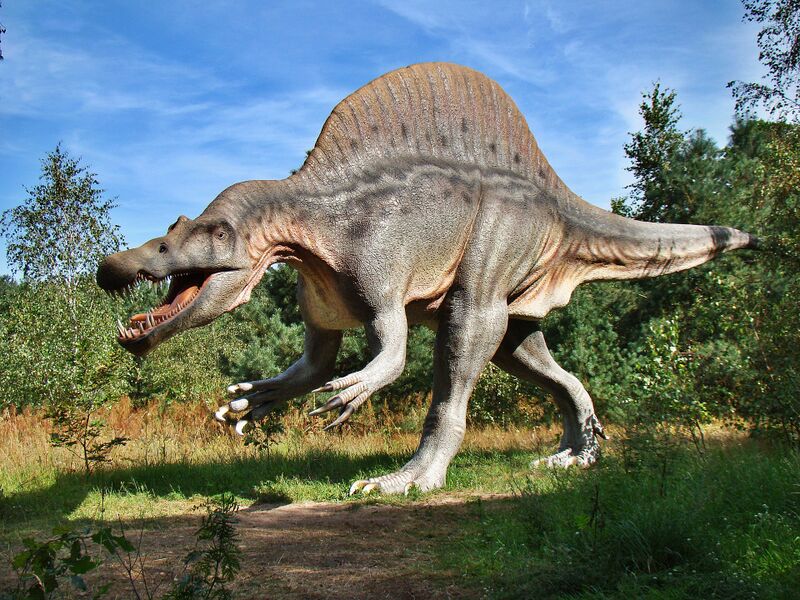 Datei:Spinosaurus.jpeg