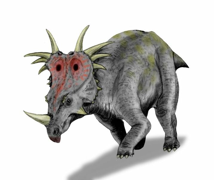 Datei:Styracosaurus.jpg