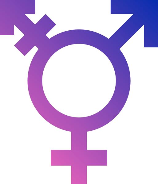 Datei:Transgender Symbol.jpg