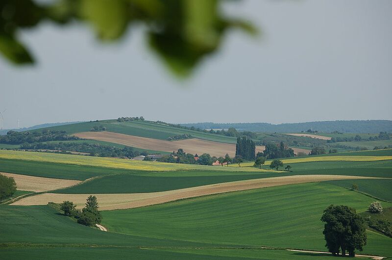 Datei:Weinviertel Landwirtschaft.jpg